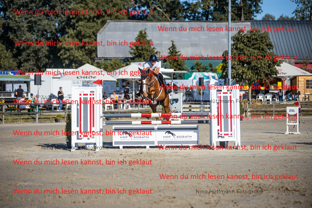 BK1A6085 | Turnierbilder Turnierfotos Nina Hüffmann Turnierfotografie Pferdefotografie Tierzeichnung Haustierzeichnung Pferdezeichnung Hundezeichnung Videograf  - Realisiert mit Pictrs.com