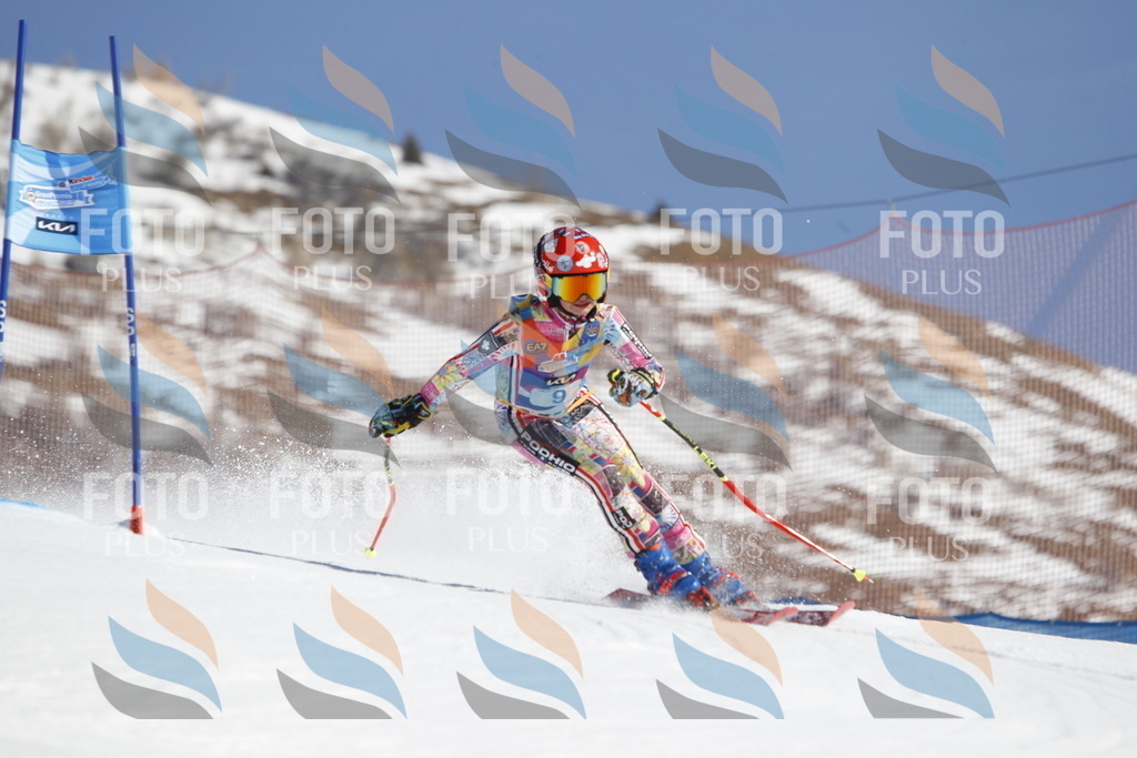 _U3G8763 | holidayphoto