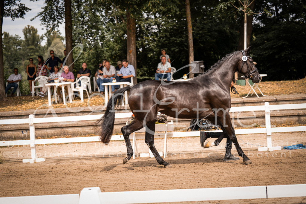 4.Fr00120 | Leoni Ertmer Photography - Realisiert mit Pictrs.com