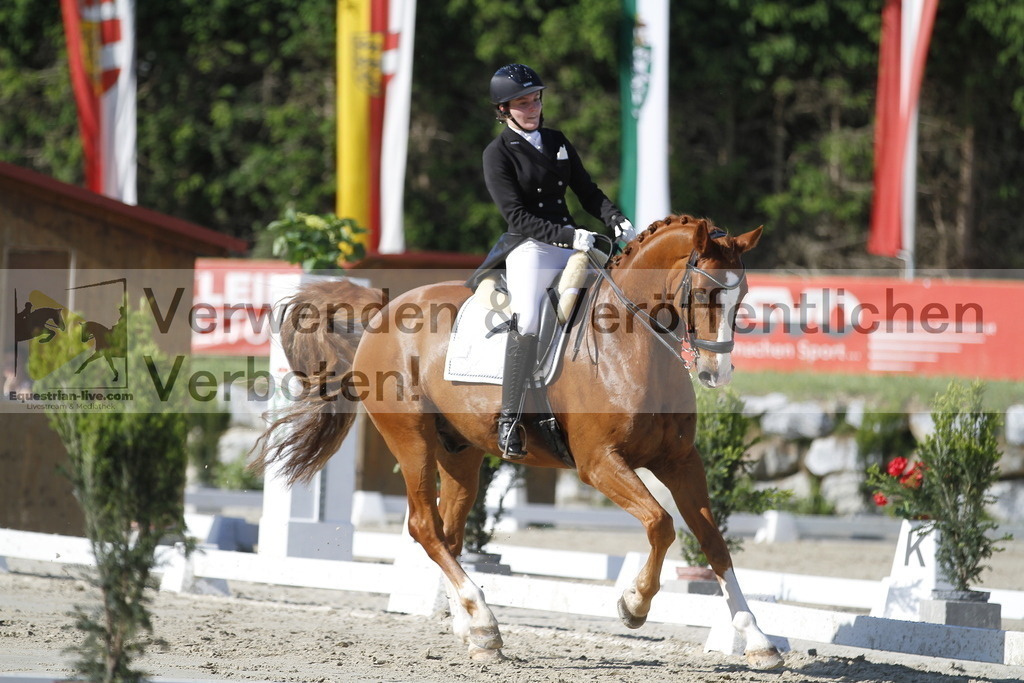 _MG_3209 | equestrian-live-com