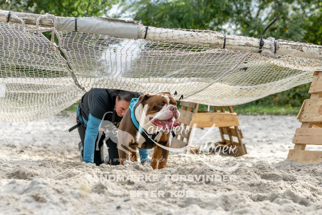 1505_ZZ92955 | kk-dogfotos