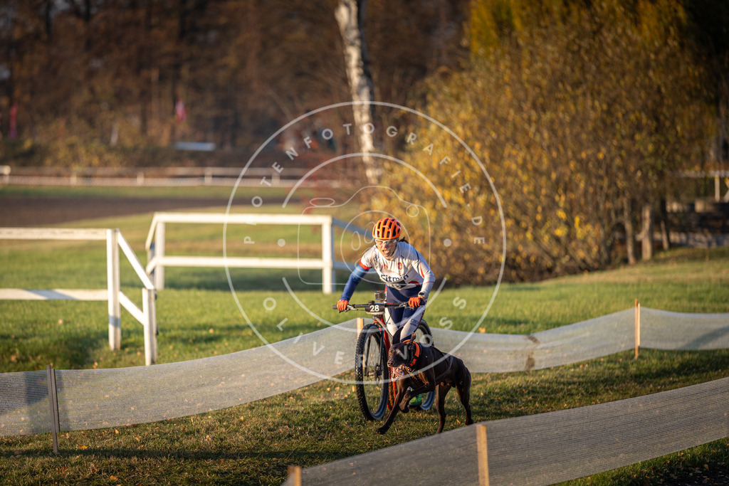 CaniXpix_DV3A9897 | Hundefotografie, Tierfotograf, Pfotenfotografie, Fotoshooting Hund, Hunde Portrait, Hundesport, Hundeportraits, Heideshooting, Hunde, Sportfotograf, Hundefotograf, Turnierhundsport, THS,  - Realisiert mit Pictrs.com