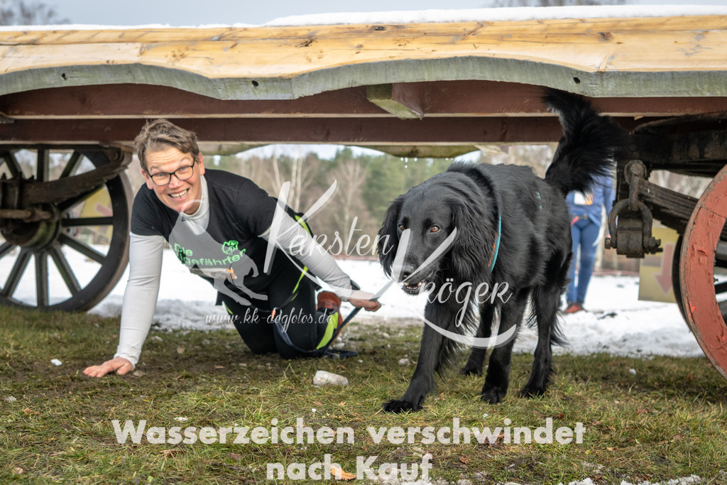 0934_ZZ90825 | kk-dogfotos