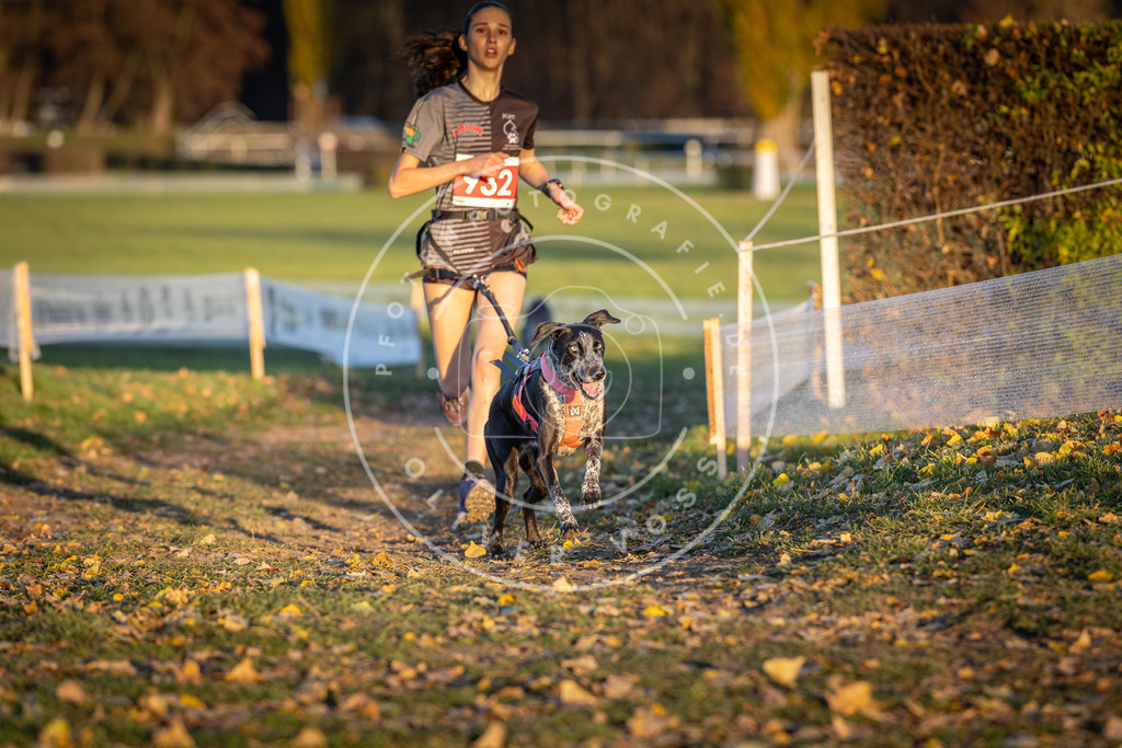CaniXpix_DV3A5158 | Hundefotografie, Tierfotograf, Pfotenfotografie, Fotoshooting Hund, Hunde Portrait, Hundesport, Hundeportraits, Heideshooting, Hunde, Sportfotograf, Hundefotograf, Turnierhundsport, THS,  - Realisiert mit Pictrs.com