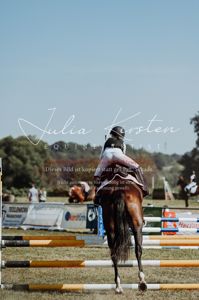 DSC_9796 | Pferde- und Turnierfotografie in Westsachsen. Pferdeportraits, Auftragszeichnungen und intuitive Kunst.