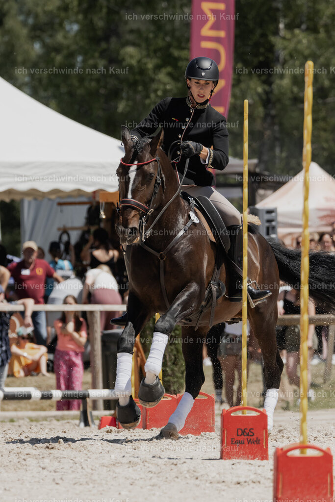 WE_SP_Stoib_330_PI2025_1984 | Pferd International München 2025