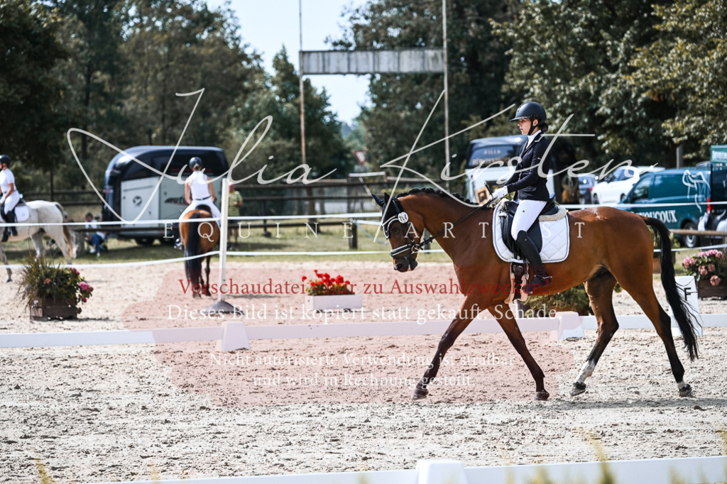DSC_5129 | Pferde- und Turnierfotografie in Westsachsen. Pferdeportraits, Auftragszeichnungen und intuitive Kunst.