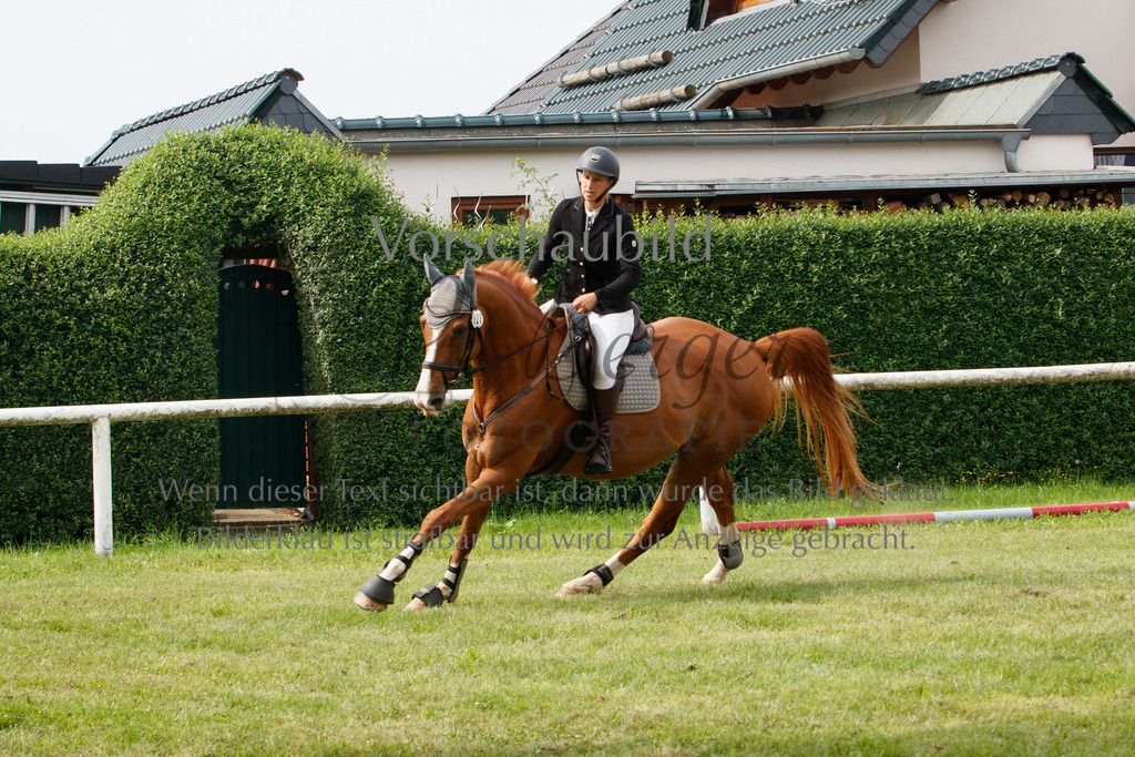 IMG_2777 | P. Berger Fotografie - Realisiert mit Pictrs.com