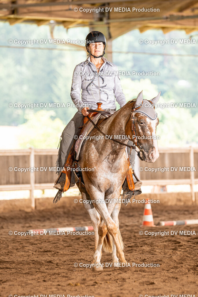 Erbach Tag 1-235 | dv-media-shop - Realisiert mit Pictrs.com