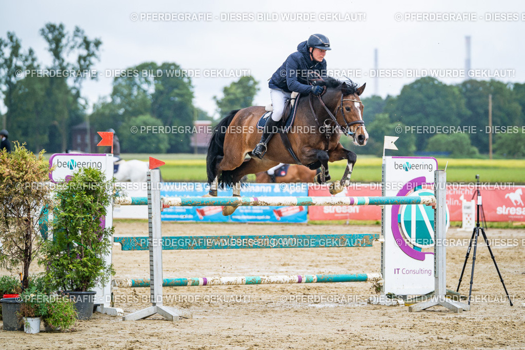 DSC03816 | Pferdegrafie