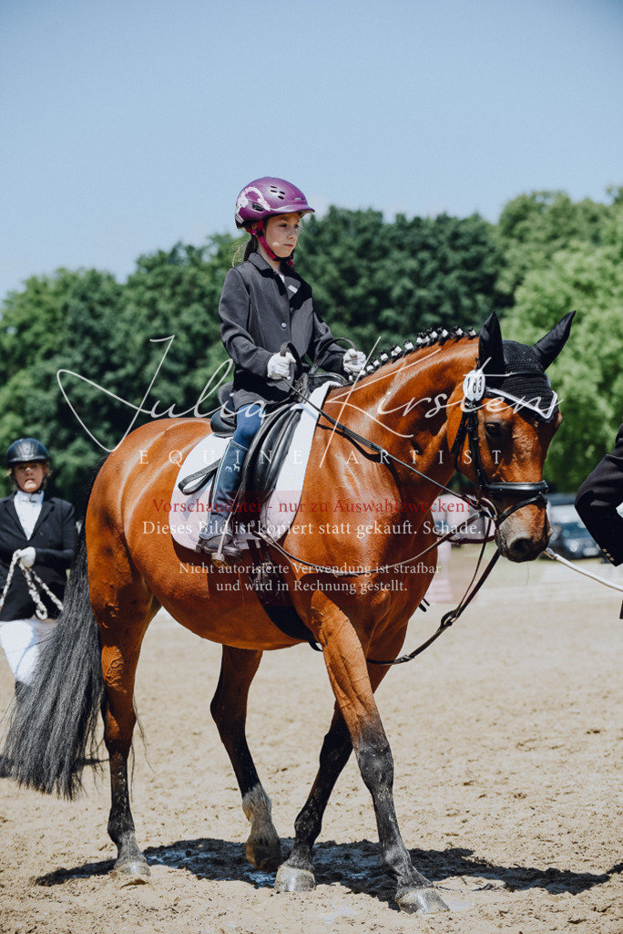 DSC_2202 | Pferde- und Turnierfotografie in Westsachsen. Pferdeportraits, Auftragszeichnungen und intuitive Kunst.