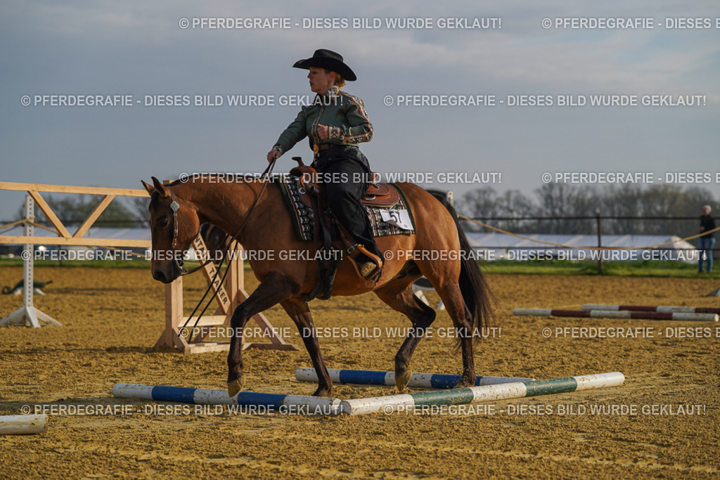 DSC00551 | Pferdegrafie