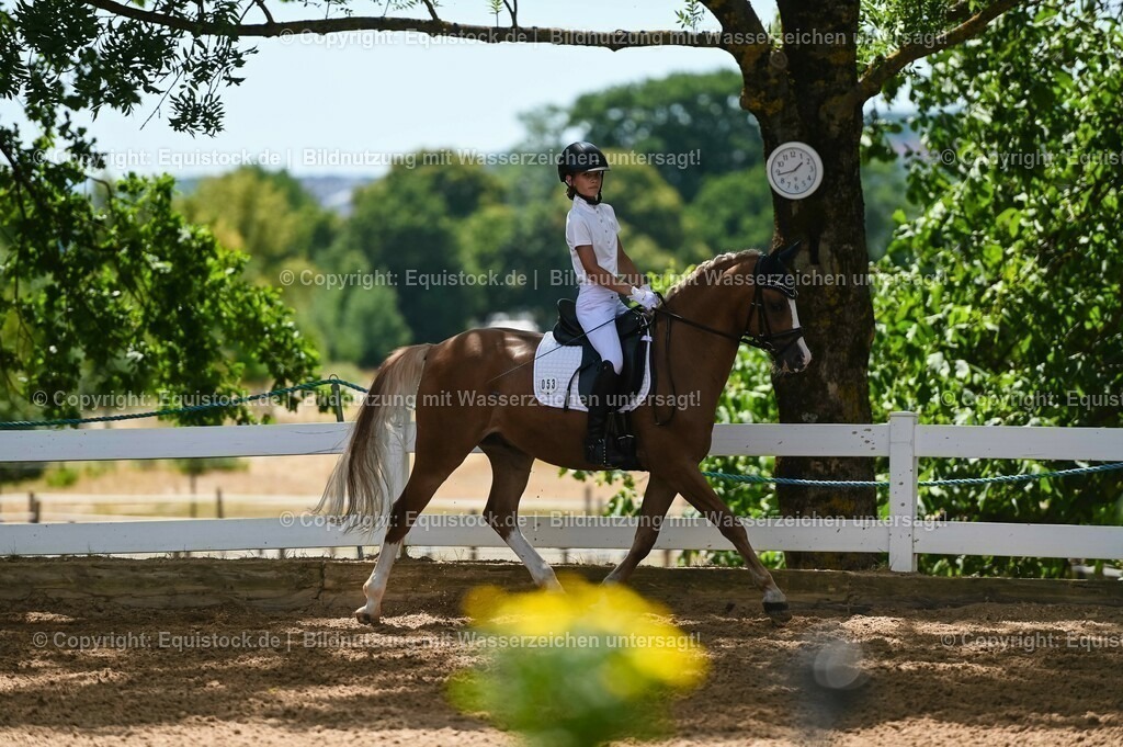 20230715_09_Dressur-WB_0267 | equistock
