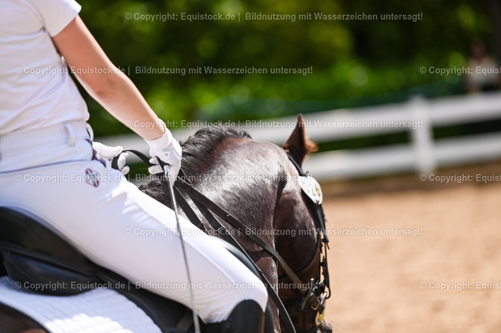 20230715_09_Dressur-WB_0229 | equistock