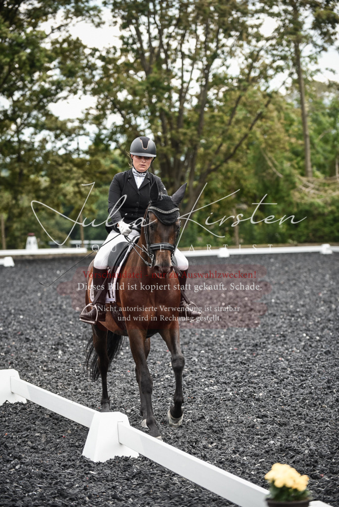 DSC_4904 | Pferde- und Turnierfotografie in Westsachsen. Pferdeportraits, Auftragszeichnungen und intuitive Kunst.