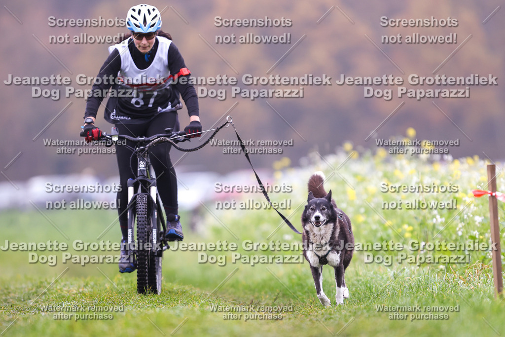 Dog Paparazzi - Visbeck 25 -250 | Dog Paparazzi Jeanette Grottendiek Fotografie & Videografie - Realisiert mit Pictrs.com