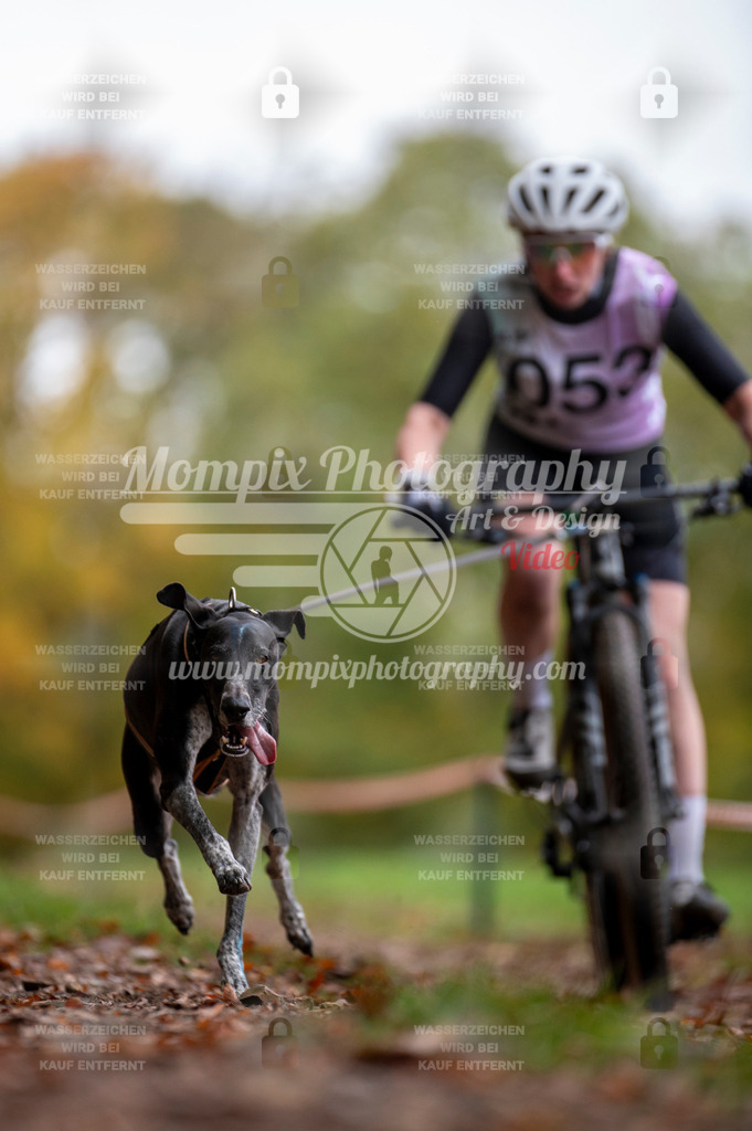 DBT_DAKM_SA_4_11_2023_Bike-25 | PayLife