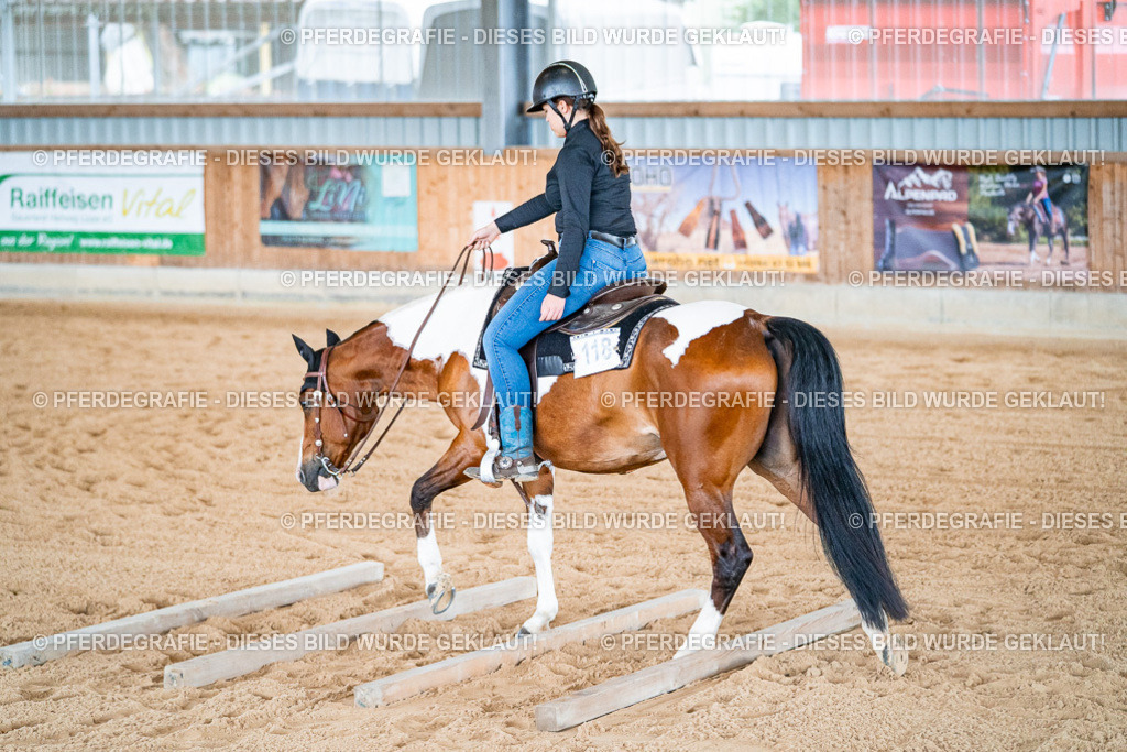 DSC09778 | Pferdegrafie