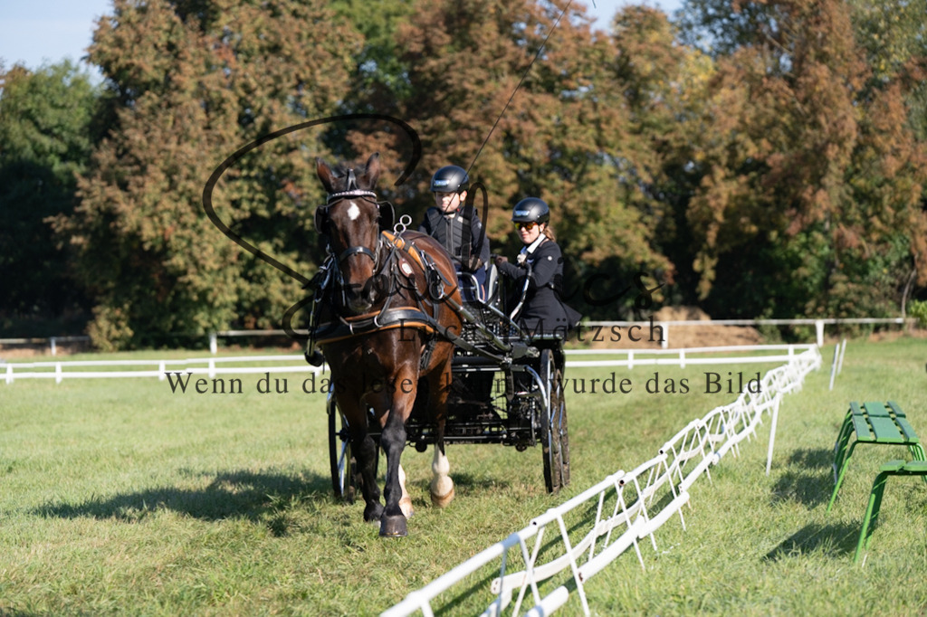 A7V04189 | Pferdefotograf