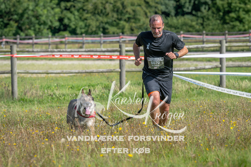 1134_ZZ90208 | kk-dogfotos