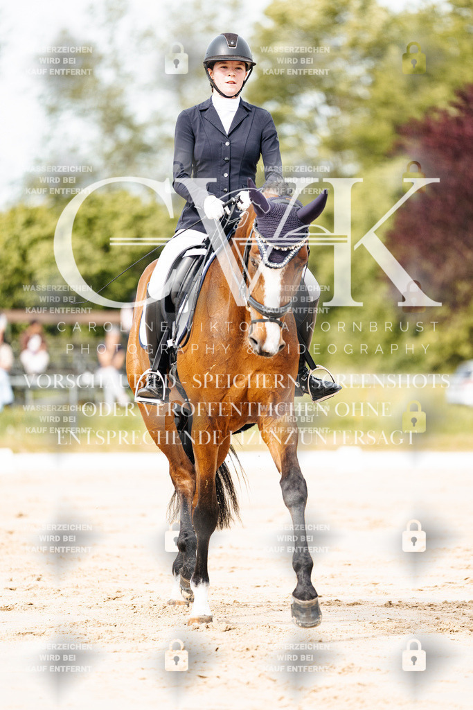 CK900721 | Turnierfotografie Pferdefotografie Trier Rheinland-Pfalz Pferdesport Reitsport Tierfotografie Sportfotografie Pferdevideo Pferdevideografie Equestrianvideography equestrianphotography  - Realisiert mit Pictrs.com