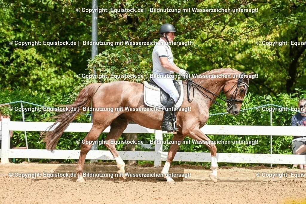20230716_01_Dressurprüfung Kl.M_0090 | equistock