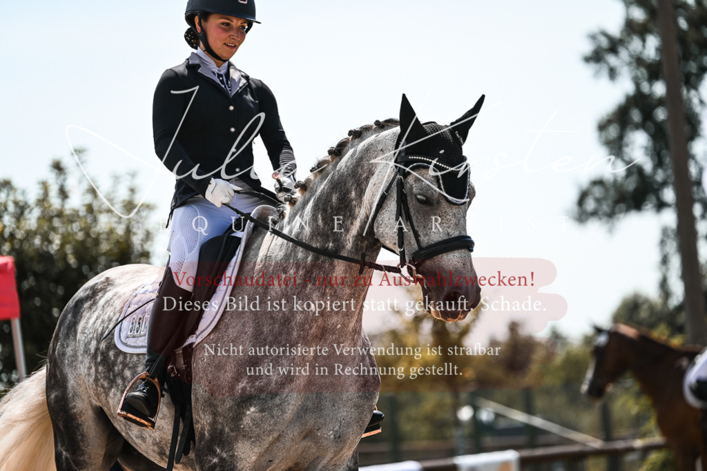 DSC_5570 | Pferde- und Turnierfotografie in Westsachsen. Pferdeportraits, Auftragszeichnungen und intuitive Kunst.