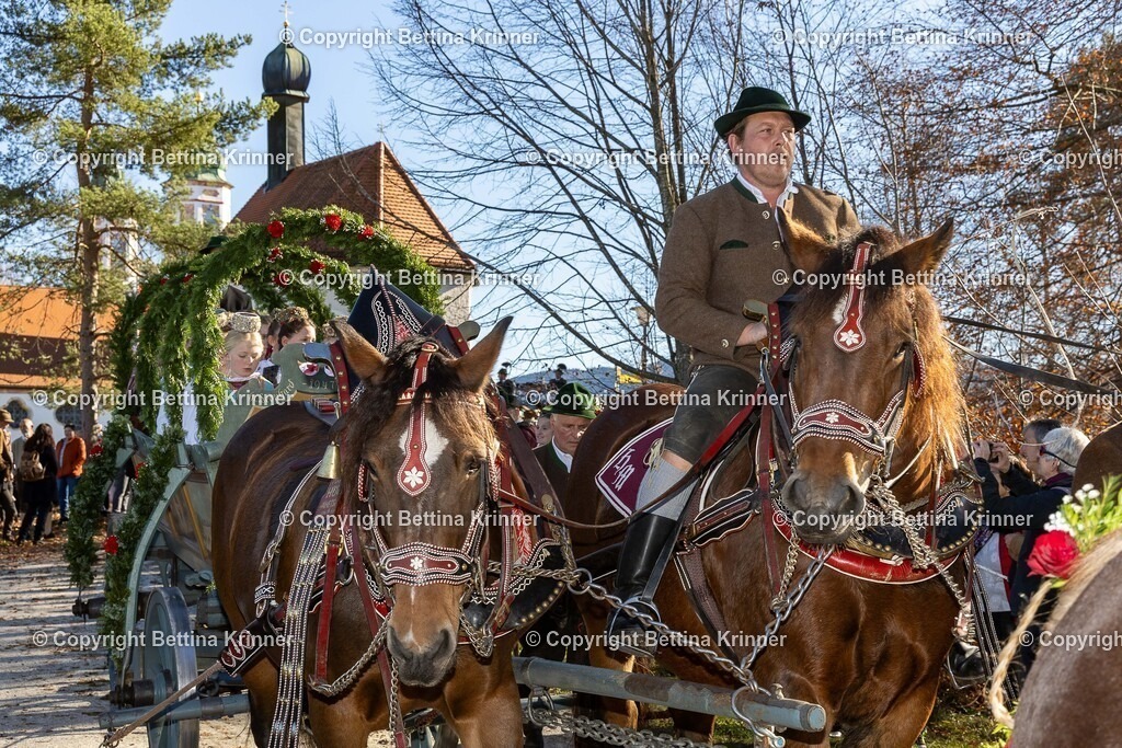 LBT25-1152 | foto-bettina-krinner - Realisiert mit Pictrs.com