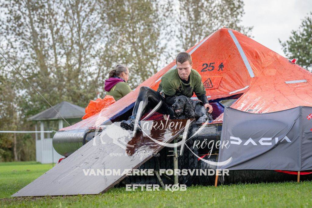 1222-93552 | kk-dogfotos