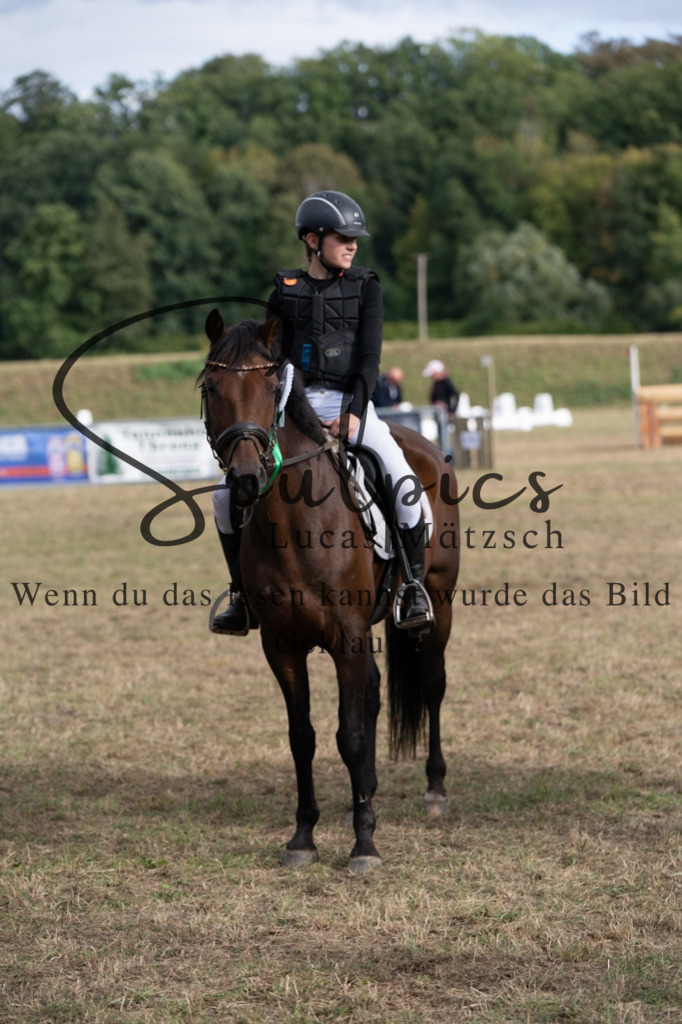 A7V01538 | Pferdefotograf