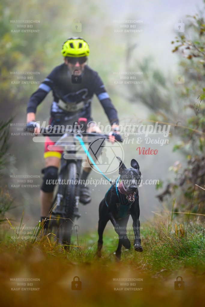 MompixPhotography_20TSB_E4_Bike-67 | PayLife
