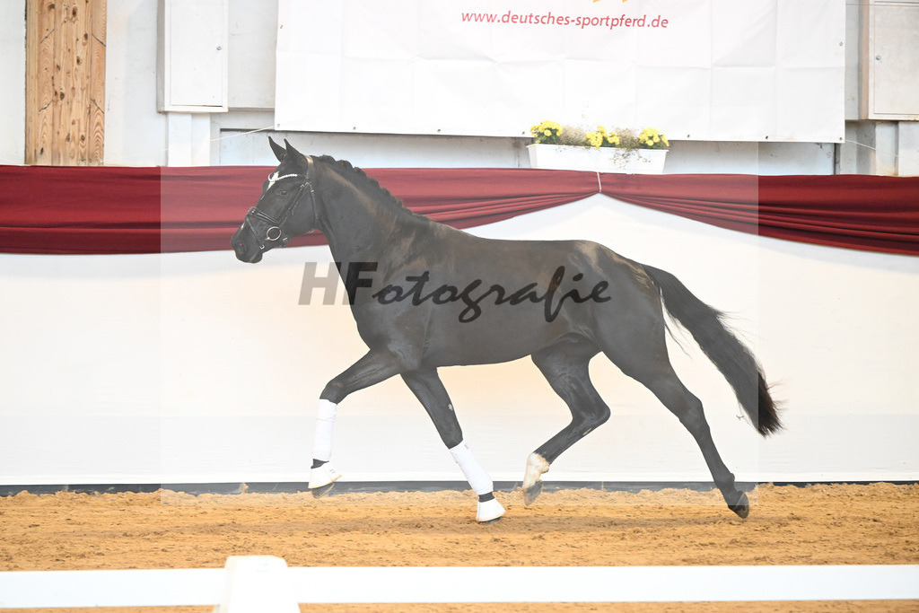 Kat-Nr. 30 v. Fantastic_Wilbers_66220423 | hf-fotografie - Realizzato con Pictrs.com