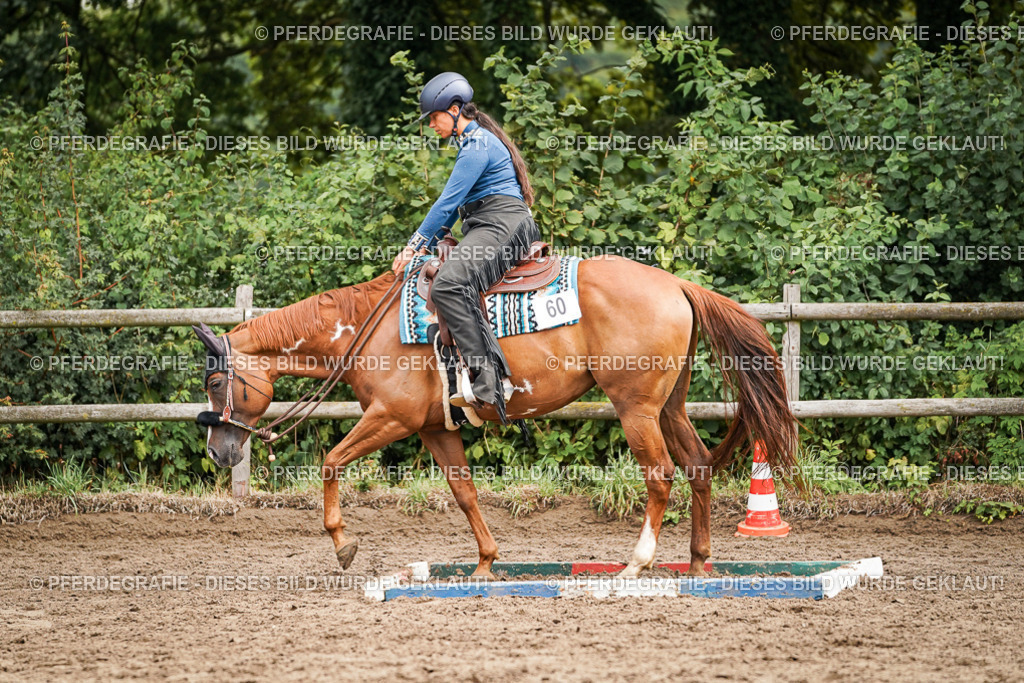 DSC04390 | Pferdegrafie