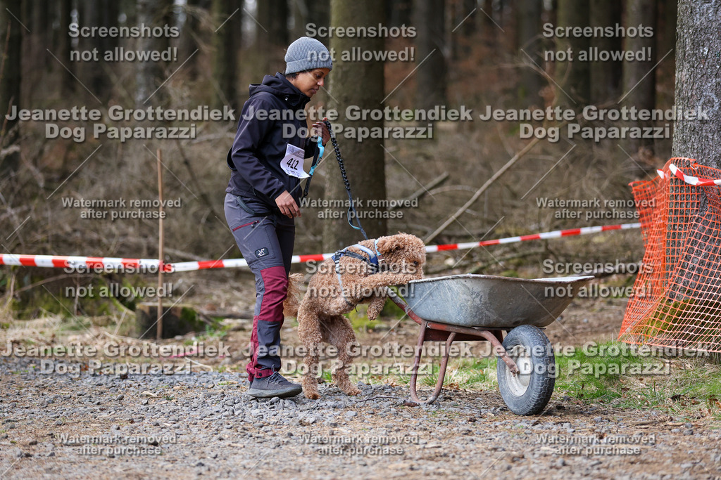 Dog Paparazzi - VCC26-816 | Dog Paparazzi Jeanette Grottendiek Fotografie & Videografie - Realisiert mit Pictrs.com