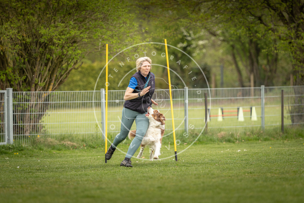 Pfotenfotografie_DV3A7422 | Hundefotografie, Tierfotograf, Pfotenfotografie, Fotoshooting Hund, Hunde Portrait, Hundesport, Hundeportraits, Heideshooting, Hunde, Sportfotograf, Hundefotograf, Turnierhundsport, THS,  - Realisiert mit Pictrs.com