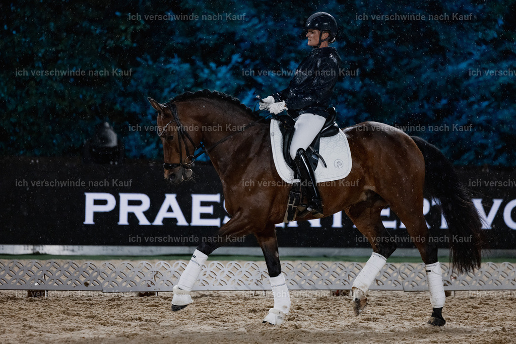 FHClassics-63 | working equitationturnier fotograf videograf stoibphotography marixx film working equitation deutschland reitsport turnierfotografie eventfotografie equestrian events