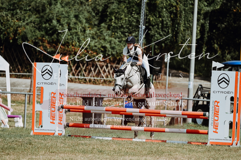 DSC_9447 | Pferde- und Turnierfotografie in Westsachsen. Pferdeportraits, Auftragszeichnungen und intuitive Kunst.