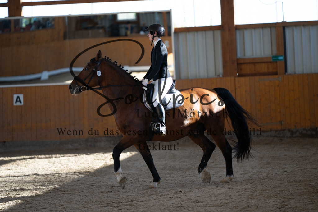 A7V01762 | Pferdefotograf