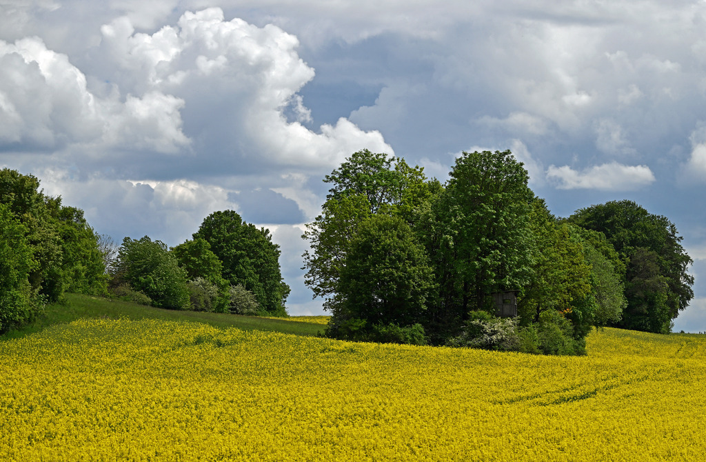 LandschaftNeubrunn07p-3 | lucisnaturbilder - Realisiert mit Pictrs.com