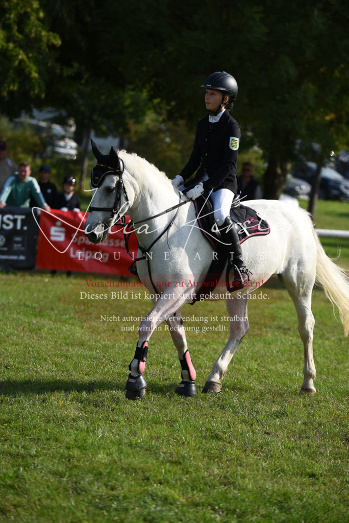 DSC_8641 | Pferde- und Turnierfotografie in Westsachsen. Pferdeportraits, Auftragszeichnungen und intuitive Kunst.