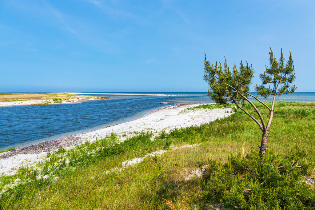 Ostseeküste am ehemaligen Nothafen Prerow auf dem Fischland-Darß | Ostseeküste am ehemaligen Nothafen Prerow auf dem Fischland-Darß.