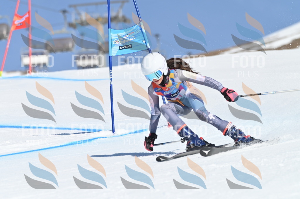 BGV_8160 | holidayphoto