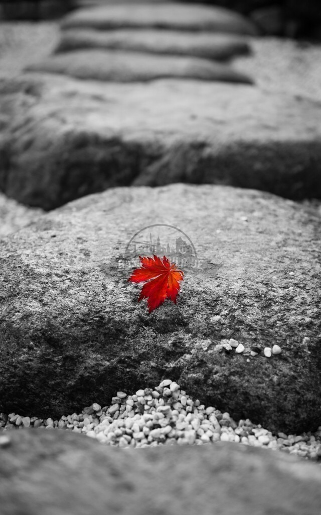 stativkunst-705 | Exklusive Hamburg collagen, tolle Segelbilder und viele weitere tolle Motive auf Leinwand, Poster, Alu-Dibond, u.v.m. findet Ihr bei uns auf hamburgbild.de. Findet Euer Wandbild für Euer Zuhause, Büro oder die  Praxis…. - Realisiert mit Pictrs.com