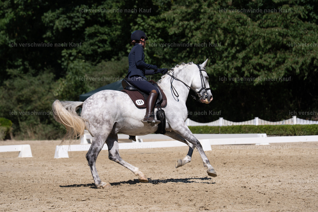 WS_DR_139_sinafilmart_IN03714 | working equitationturnier fotograf videograf stoibphotography marixx film working equitation deutschland reitsport turnierfotografie eventfotografie equestrian events