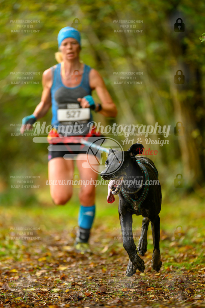 MompixPhotography_20TSB_E1_Run-21 | PayLife