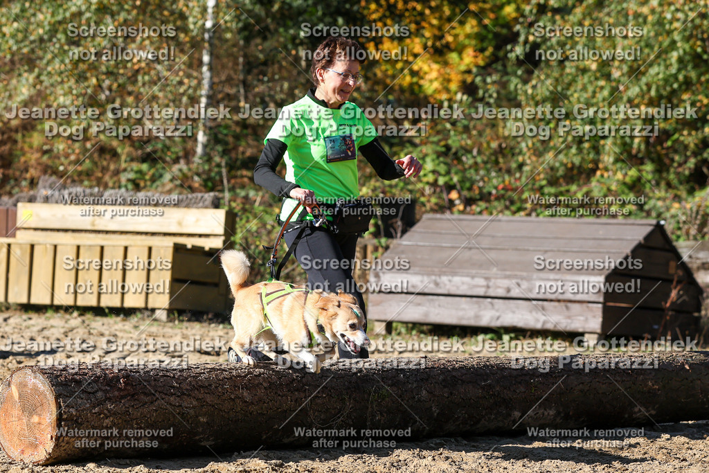 Dog Paparazzi - Strongdog 10-25-2655 | Dog Paparazzi Jeanette Grottendiek Fotografie & Videografie - Realisiert mit Pictrs.com