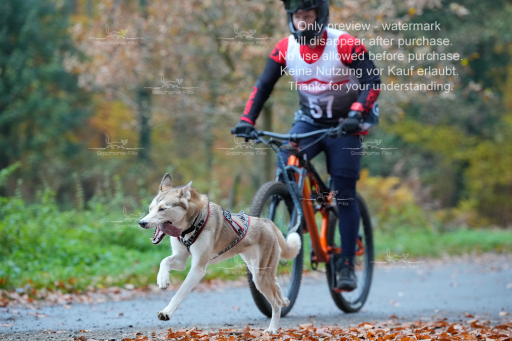 Bike_So-90 | stephaniefillaphotographie - Realisiert mit Pictrs.com