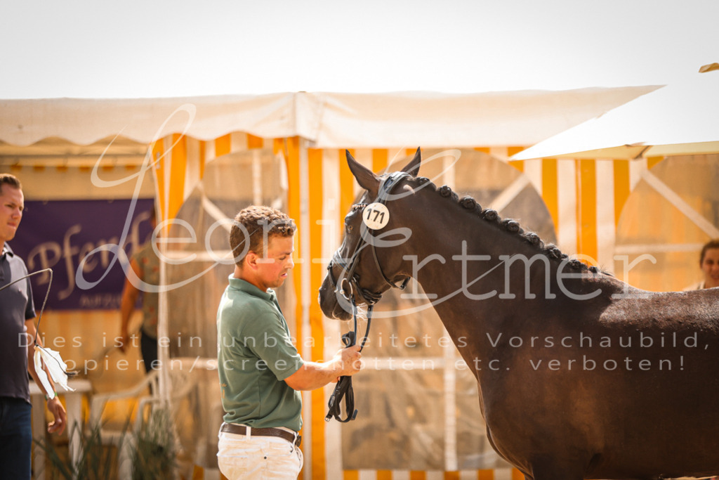 11.So00080 | Leoni Ertmer Photography - Realisiert mit Pictrs.com