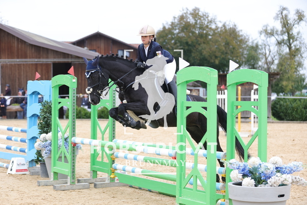 0P6A2224 | Willkommen bei Brunnmayr - Design & Fotografie – Ihrem Spezialisten für Reitturniere und Pferdeveranstaltungen in Oberösterreich, Salzburg und Bayern! Seit über 17 Jahren sind wir leidenschaftlich dabei.