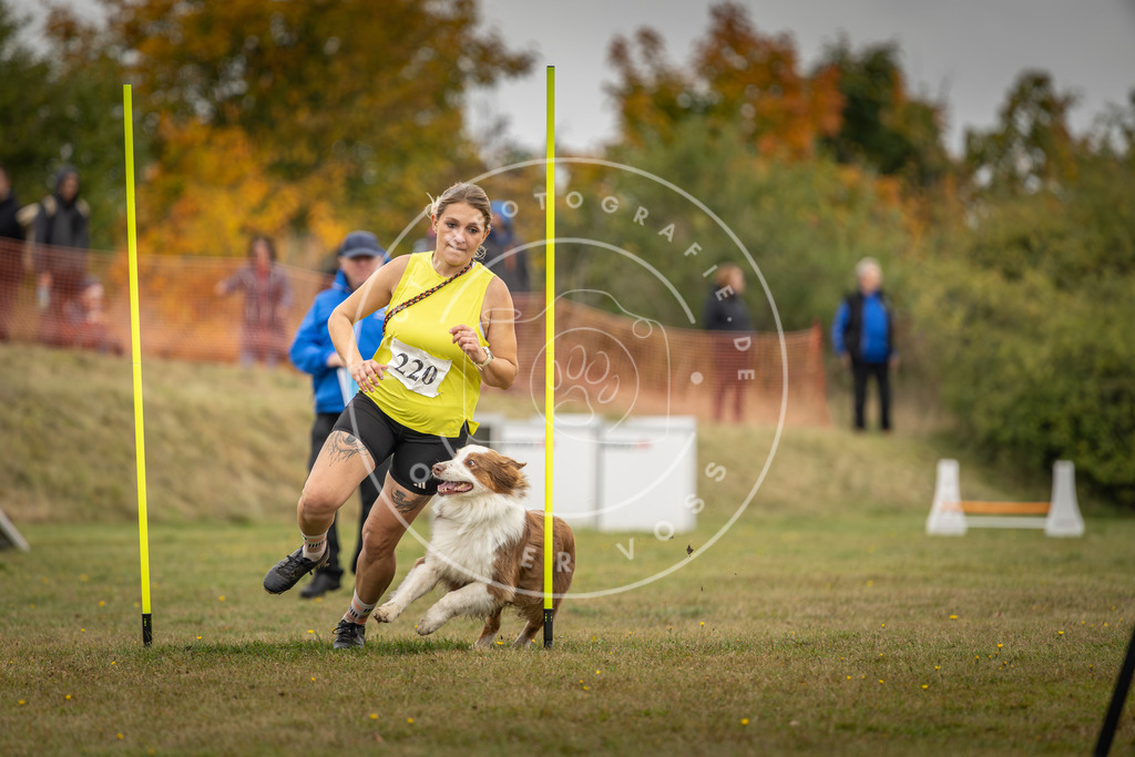 Pfotenfotografie_DV3A3706 | Hundefotografie, Tierfotograf, Pfotenfotografie, Fotoshooting Hund, Hunde Portrait, Hundesport, Hundeportraits, Heideshooting, Hunde, Sportfotograf, Hundefotograf, Turnierhundsport, THS,  - Realisiert mit Pictrs.com